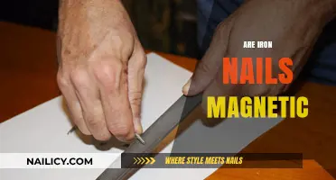 Are Iron Nails Magnetic? Exploring the Science Behind Magnetism