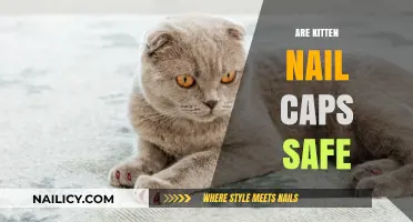Are Kitten Nail Caps Safe? A Comprehensive Guide for Pet Owners