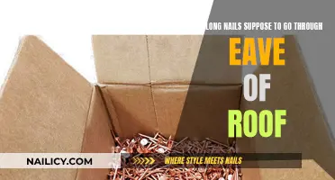Long Nails: Roof Eaves Danger or Safe Haven?