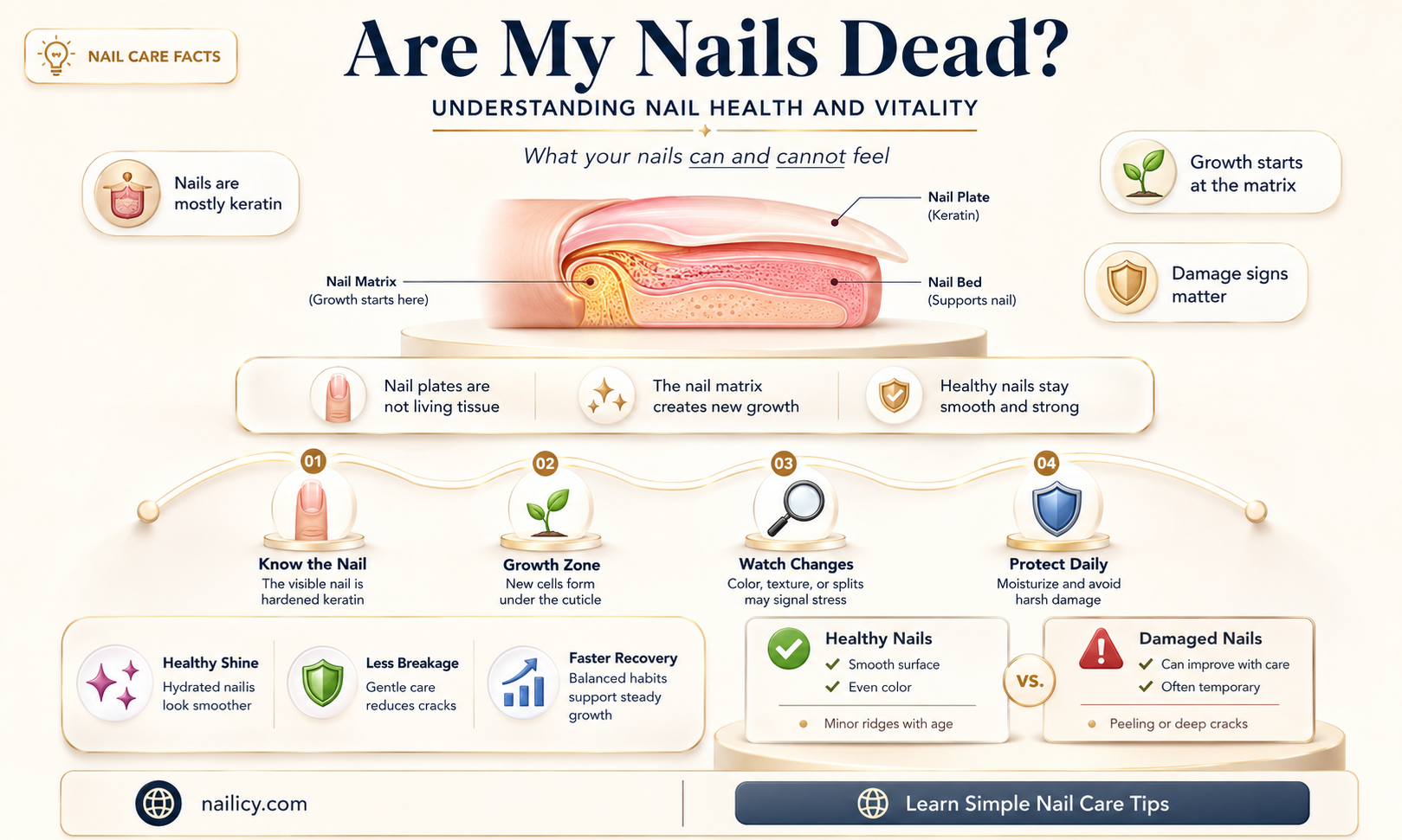 are my nails dead