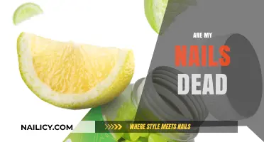 Are My Nails Dead? Understanding Nail Health and Vitality