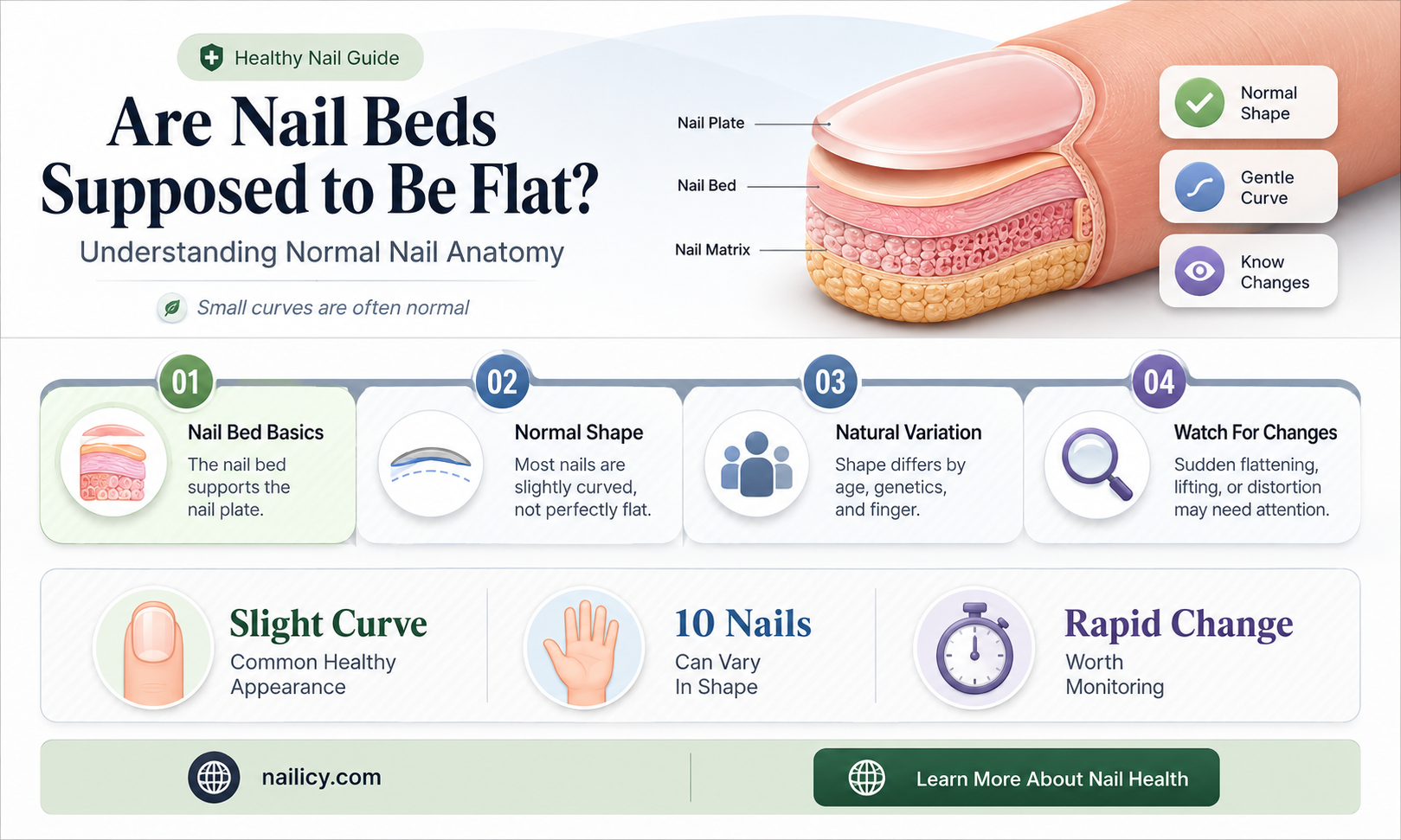 are nail beds supposed to be flat