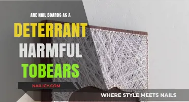 Nail Boards as Bear Deterrents: Harmful or Effective Solution?