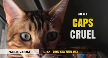 Are Nail Caps Cruel? Exploring the Ethics of Pet Nail Care