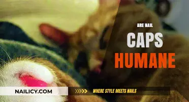 Are Nail Caps Humane? Exploring Feline Claw Alternatives