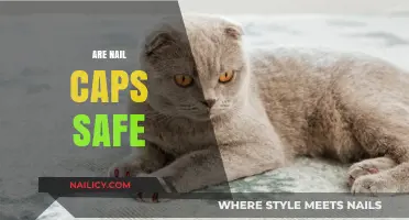 Are Nail Caps Safe for Cats? A Comprehensive Safety Guide