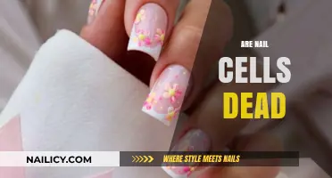 Are Nail Cells Dead? Uncovering the Truth About Your Fingertips