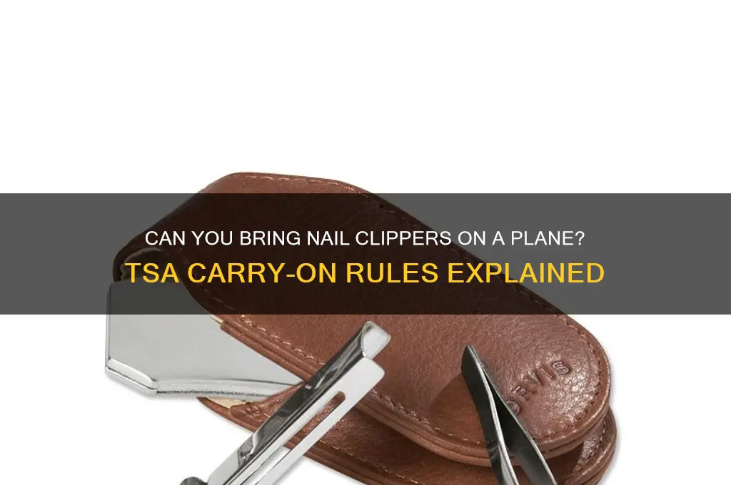 Can You Bring Nail Clippers On A Plane? Tsa Carry-On Rules Explained
