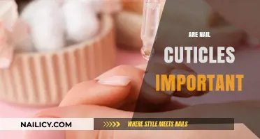 Why Nail Cuticles Matter: Their Role in Nail Health Explained