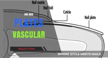 Are Nail Plates Vascular? Unveiling the Truth Behind Nail Anatomy