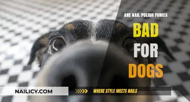 Nail Polish Fumes and Dogs: Are They a Hidden Danger?