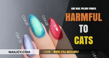 Nail Polish Fumes and Cats: Understanding the Potential Health Risks