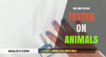 Cruelty-Free Beauty: Are Nail Polishes Tested on Animals?