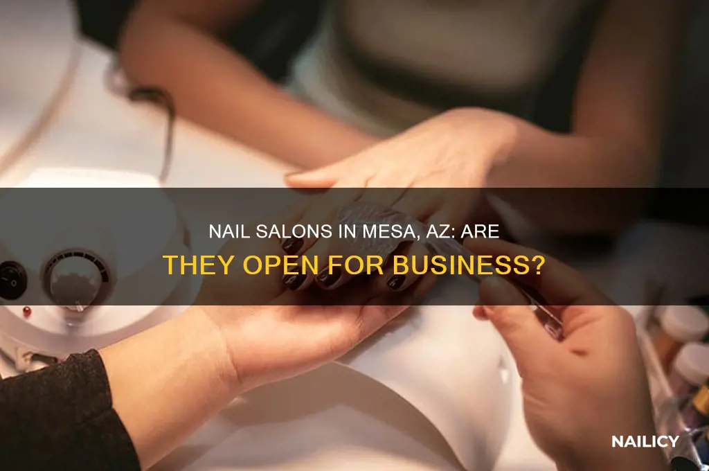 are nail salons open in mesa az