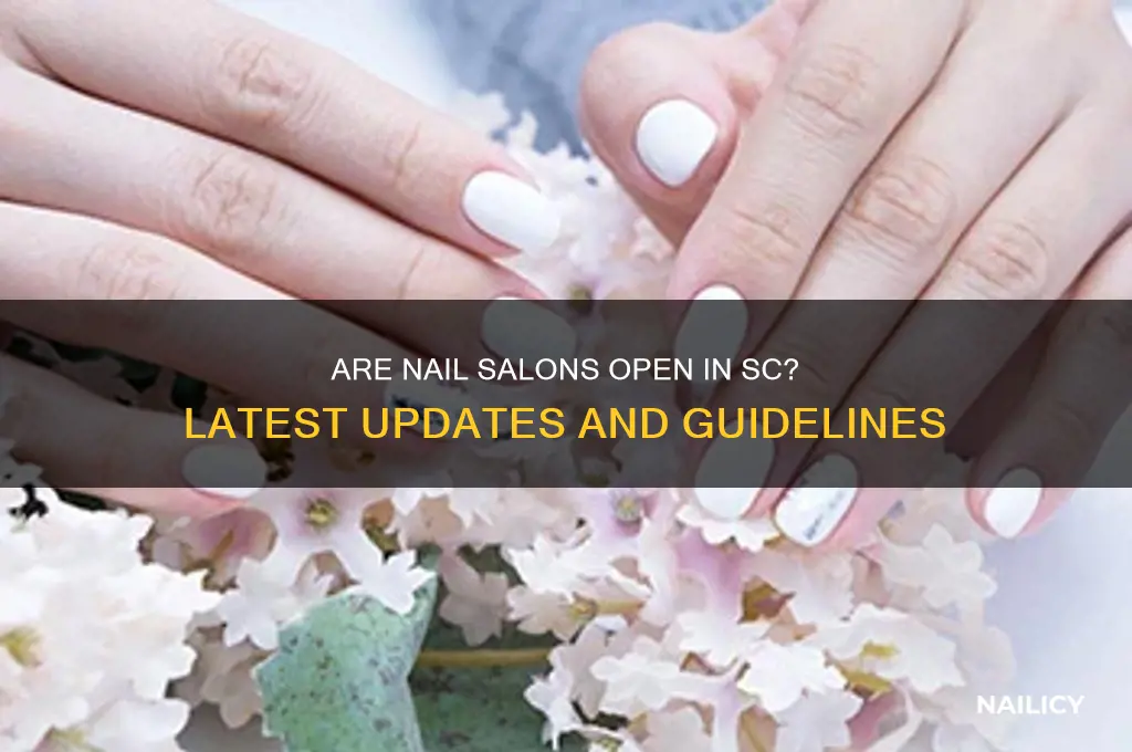 are nail salons open in sc