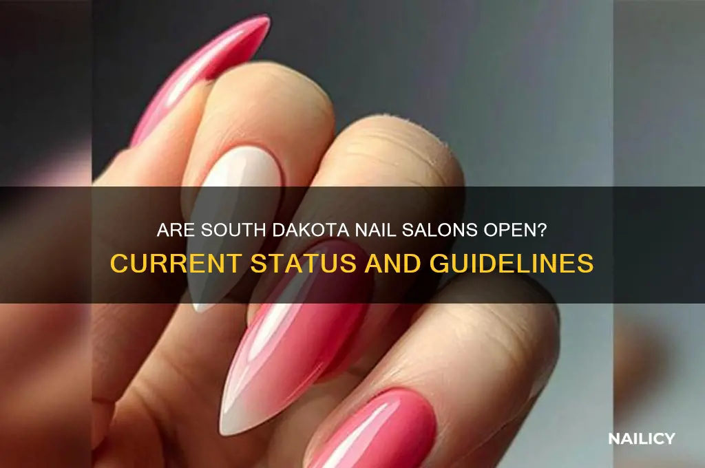 are nail salons open in south dakota
