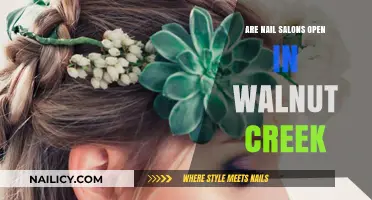 Nail Salons in Walnut Creek: Open Hours and Services Guide