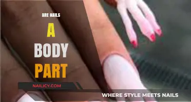 Are Nails a Body Part? Unraveling the Anatomy Debate