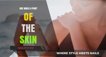 Are Nails Skin? Unraveling the Connection Between Nails and Skin