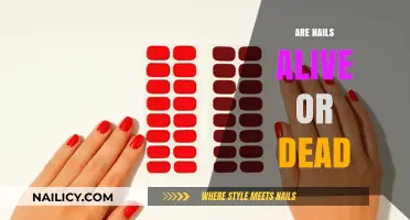Are Nails Alive or Dead? Unveiling the Truth Behind Nail Biology