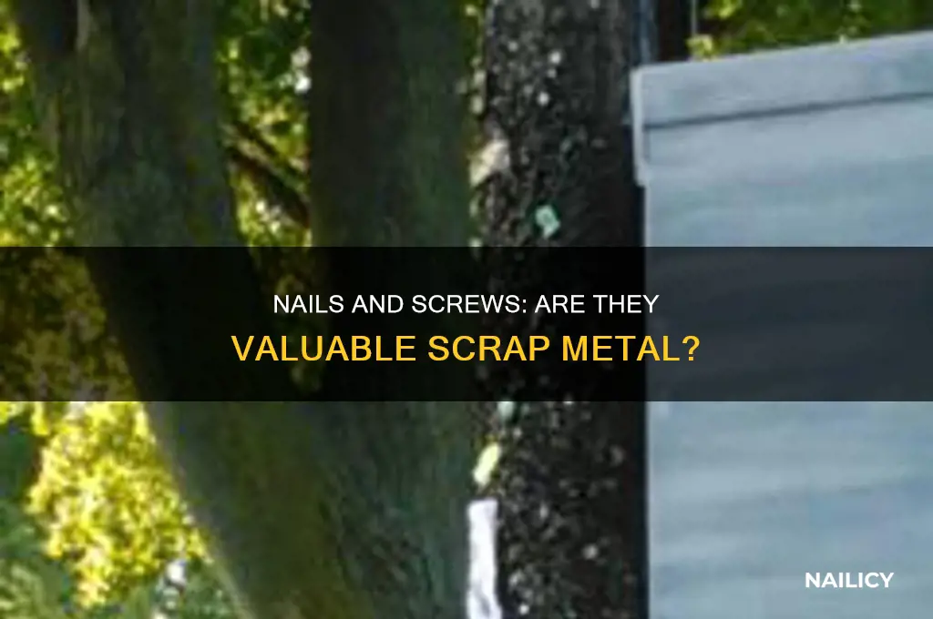 are nails and screws considered scrap metal