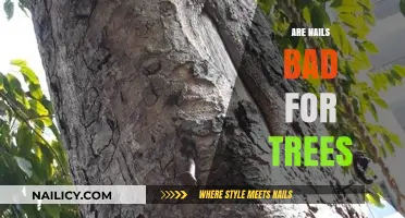 Nails in Trees: Harmful Effects and Eco-Friendly Alternatives