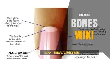 Are Nails Bones? Debunking Myths and Understanding Nail Anatomy