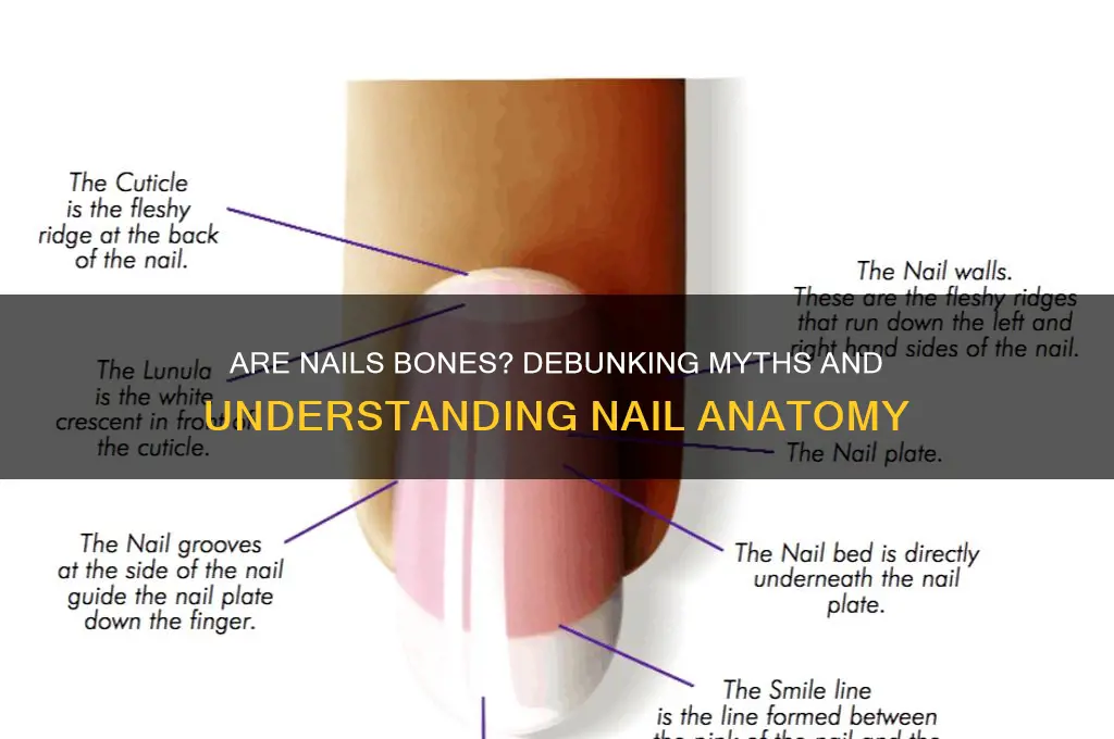 are nails bones wiki