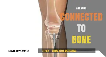 Are Nails Connected to Bone? Unraveling the Anatomy of Fingernails