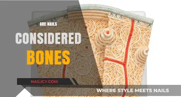 Are Nails Bones? Unraveling the Truth About Nail Composition