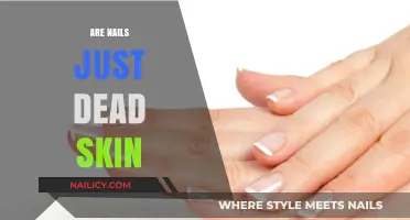 Are Nails Just Dead Skin? Uncovering the Truth Beneath Your Fingertips