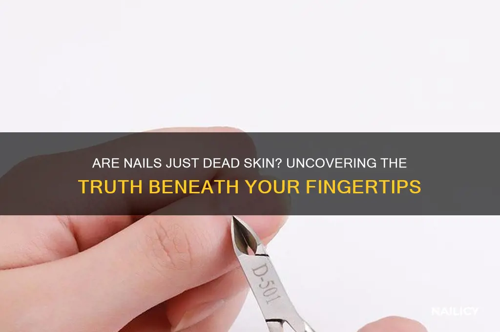 are nails just dead skin