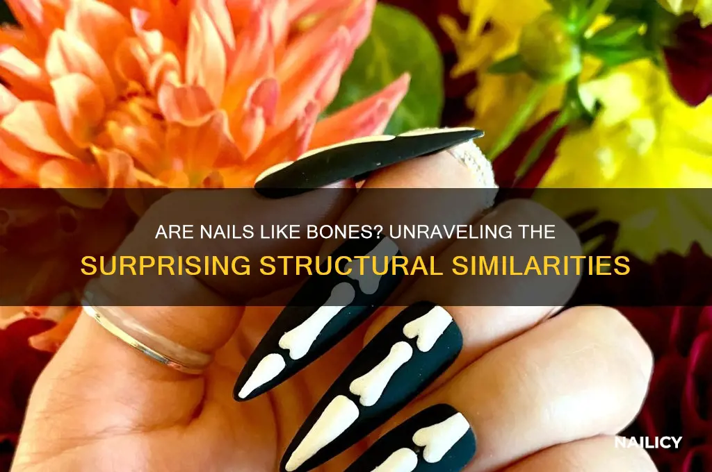 are nails like bones