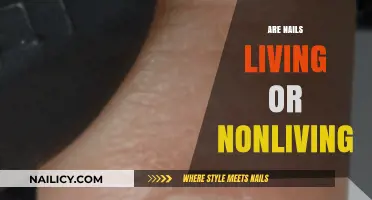Are Nails Alive? Exploring the Living vs. Nonliving Debate