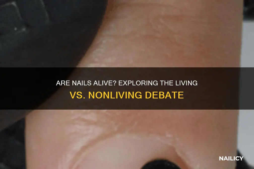 are nails living or nonliving