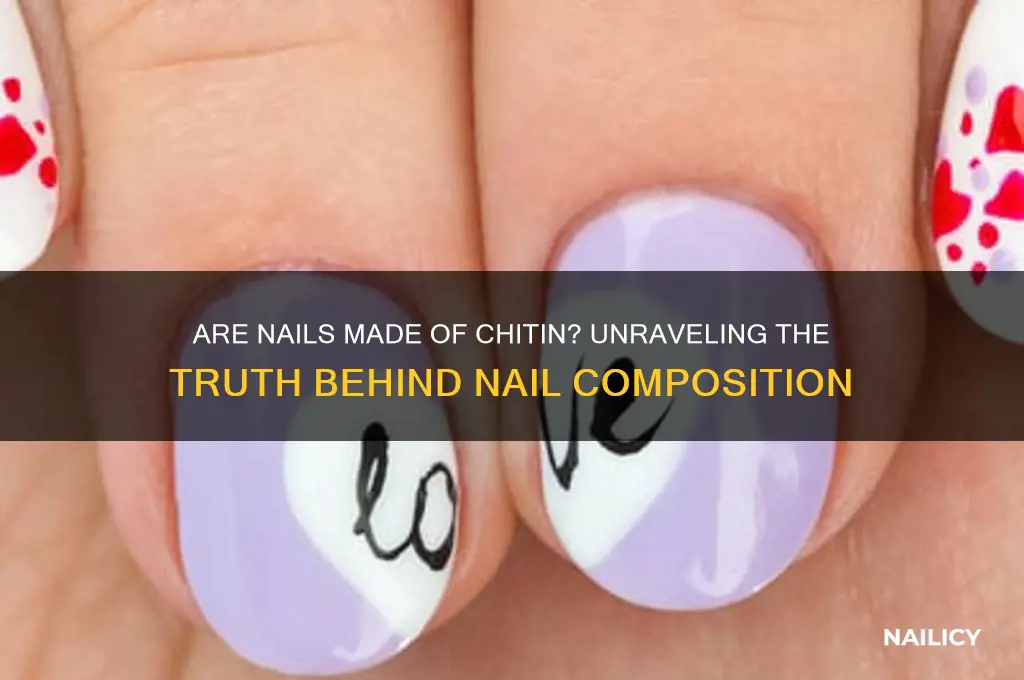 are nails made of chitin