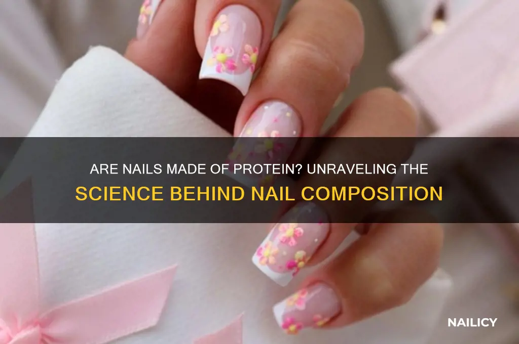 are nails made of protein