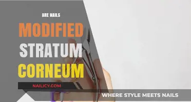 Are Nails Modified Stratum Corneum? Unraveling Skin Layer Mysteries