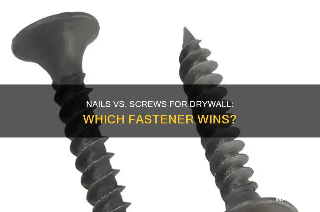 are nails or screws better for drywall