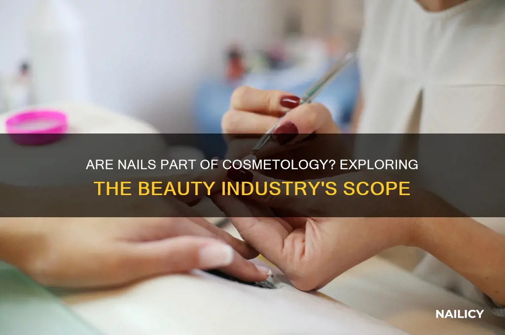 are nails part of cosmetology