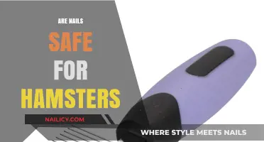 Are Nails Safe for Hamsters? A Comprehensive Guide for Owners