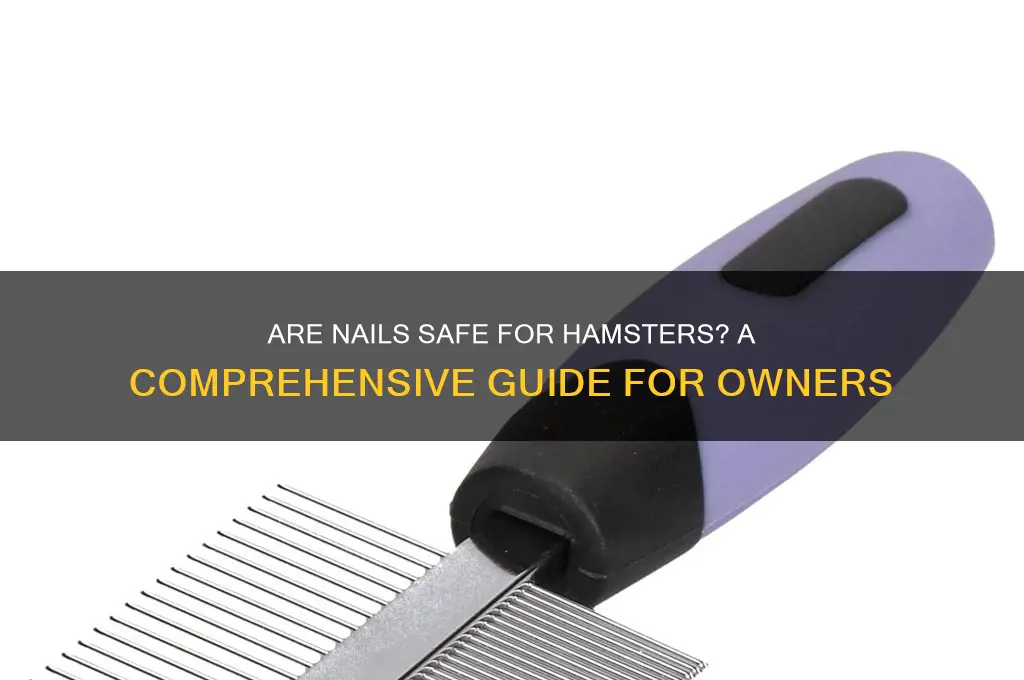 are nails safe for hamsters