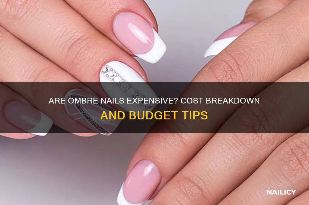 are ombre nails expensive