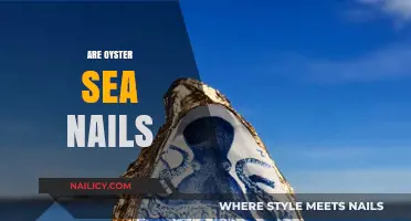Are Oyster Sea Nails Real? Unveiling the Coastal Beauty Myth