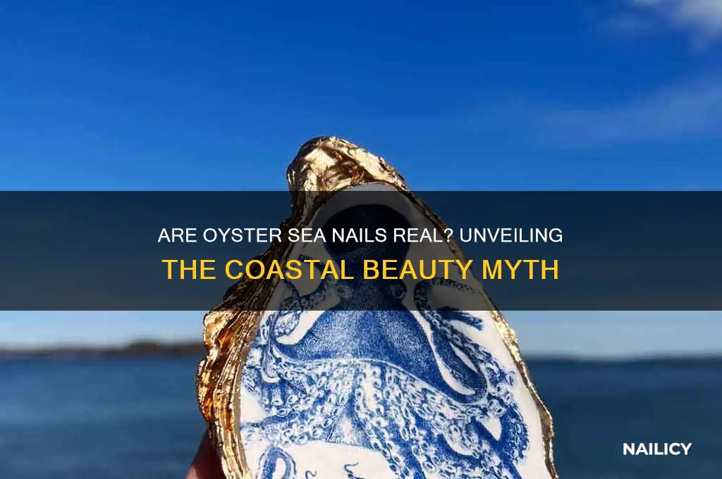 are oyster sea nails