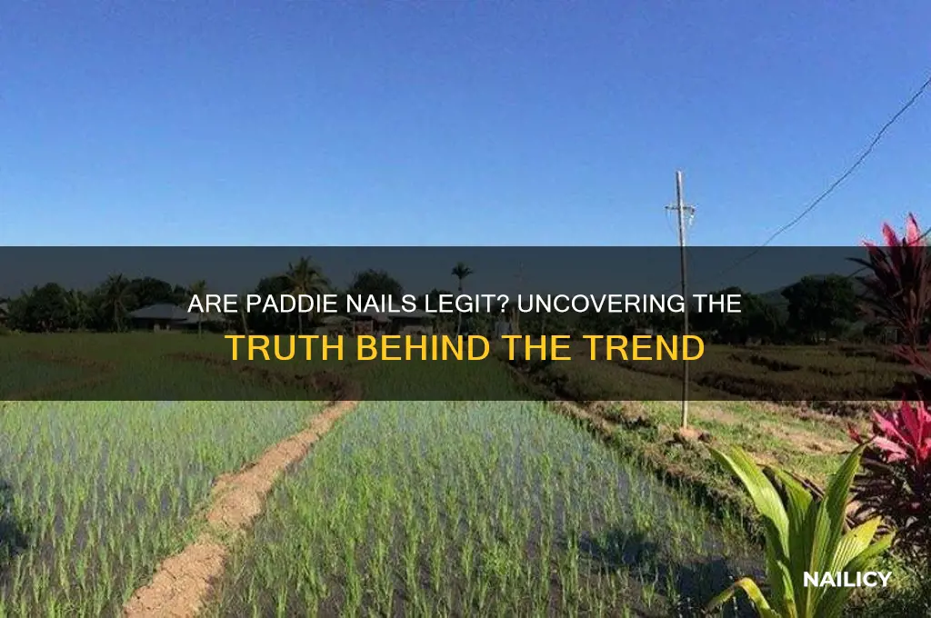 are paddie nails legit