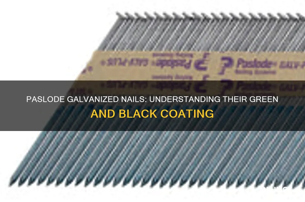 are paslode galvanized nails green and black