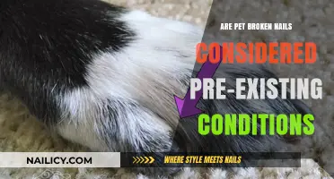 Pet Broken Nails: Are They Pre-Existing Conditions for Insurance?