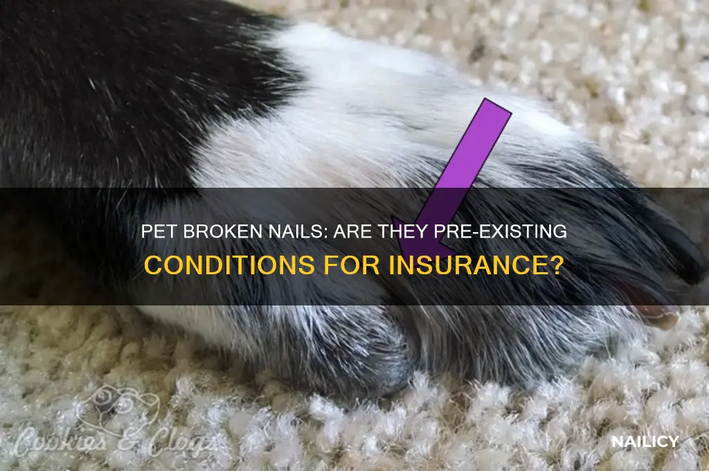 are pet broken nails considered pre-existing conditions