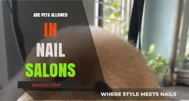 Can Pets Accompany You to Nail Salons? Policies Explained